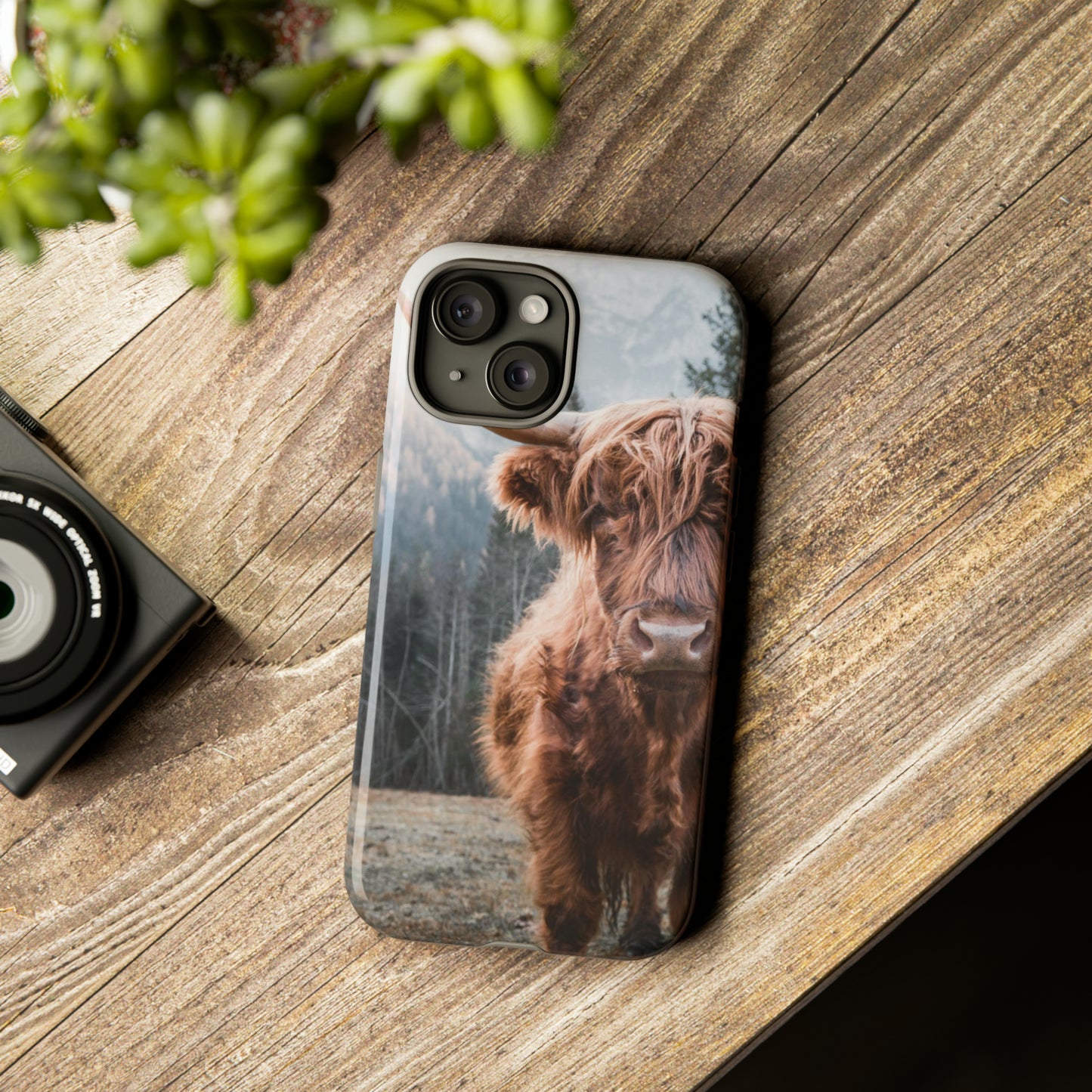 Highland Cow Phone Case for Iphone, Samsung and Google phones