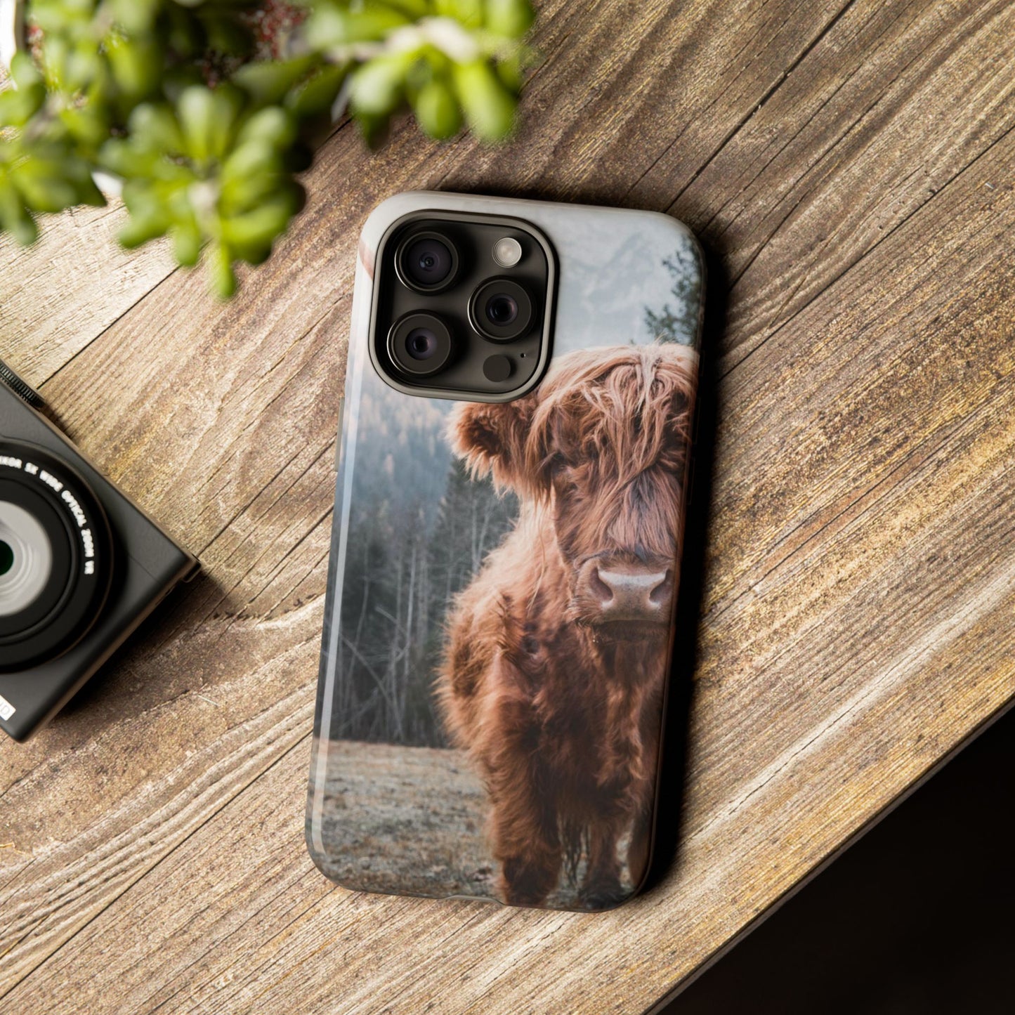 Highland Cow Phone Case for Iphone, Samsung and Google phones