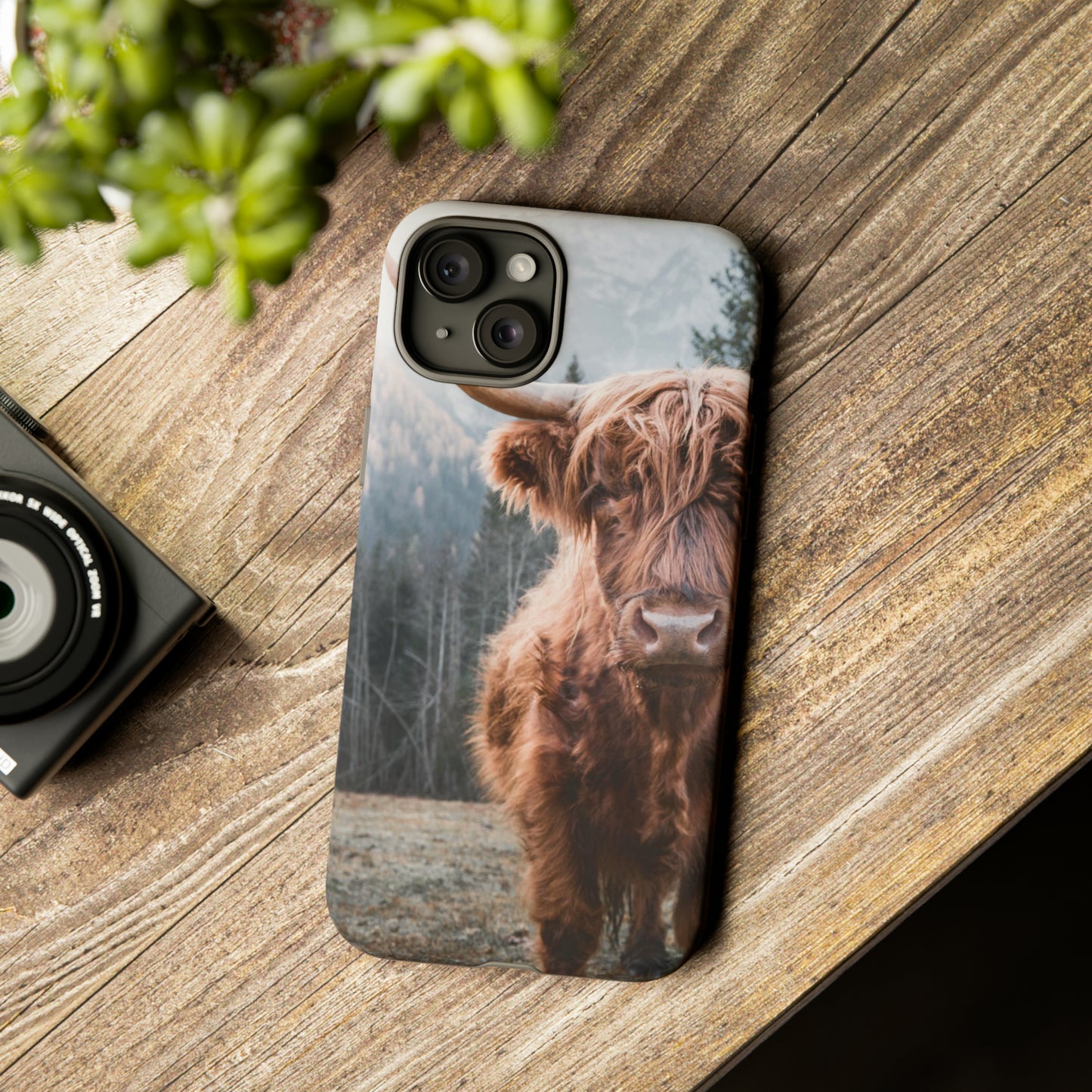 Highland Cow Phone Case for Iphone, Samsung and Google phones