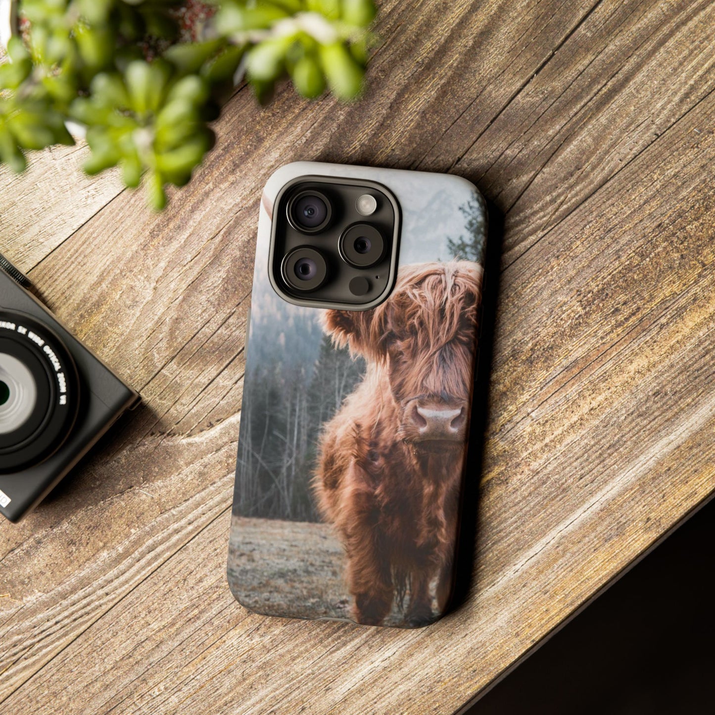 Highland Cow Phone Case for Iphone, Samsung and Google phones
