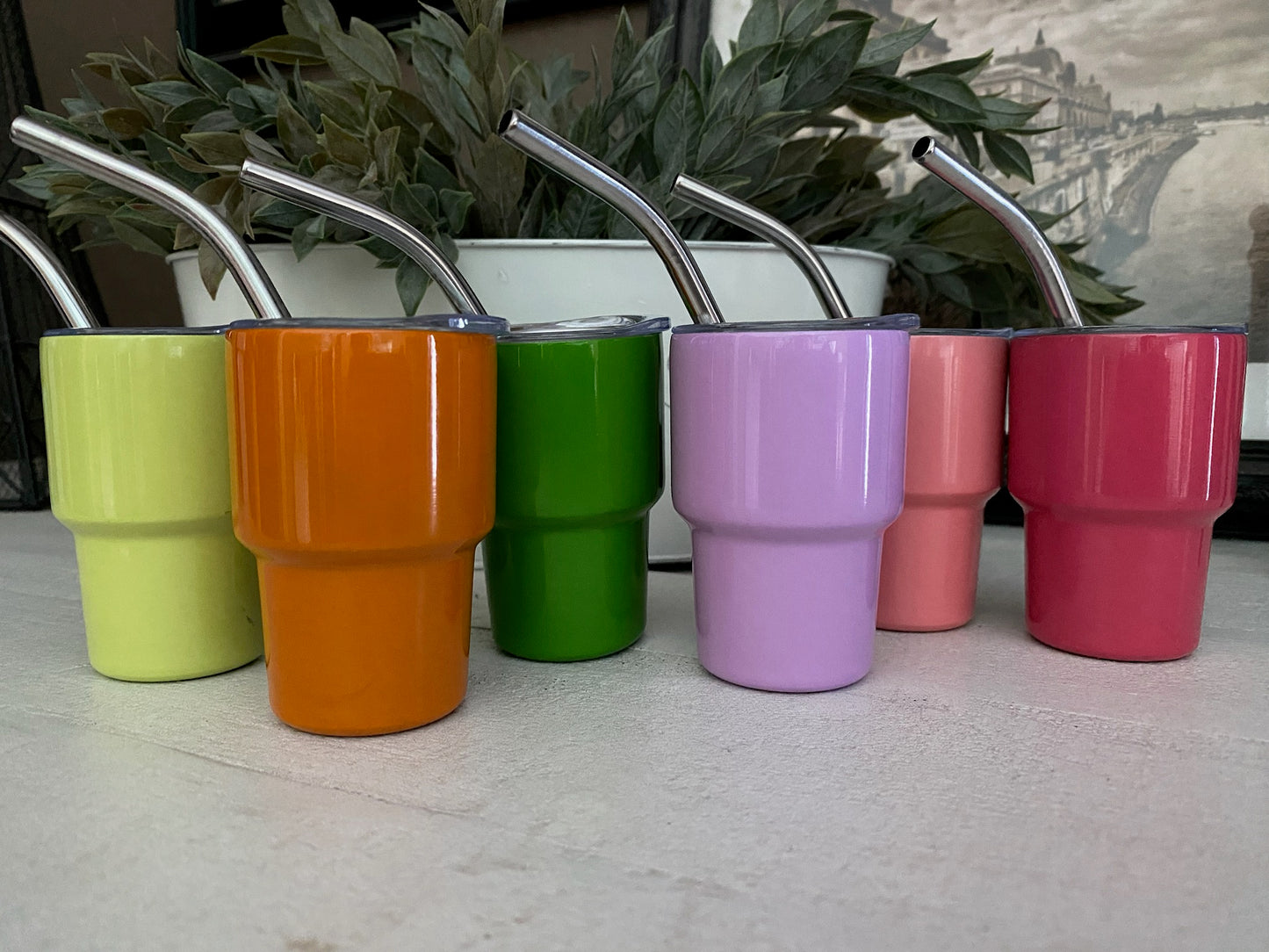 Mini 2oz shot glass/tumbler with lid and straw - Comes in 7 colors 48 HOUR SHIPPING